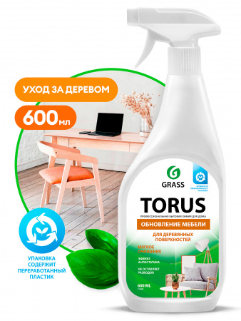 торус